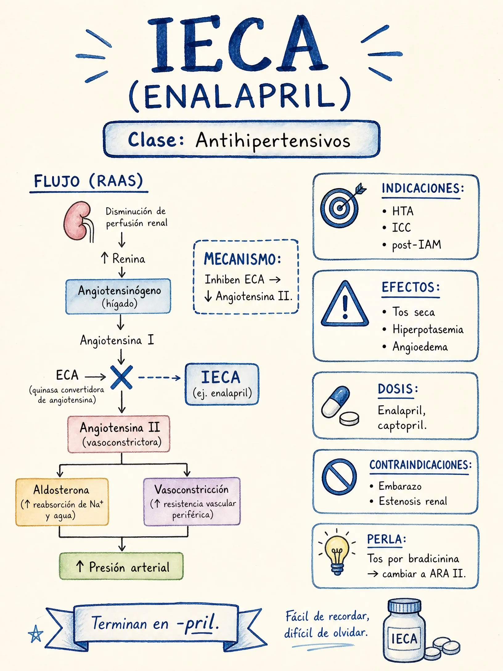 IECA · Enalapril