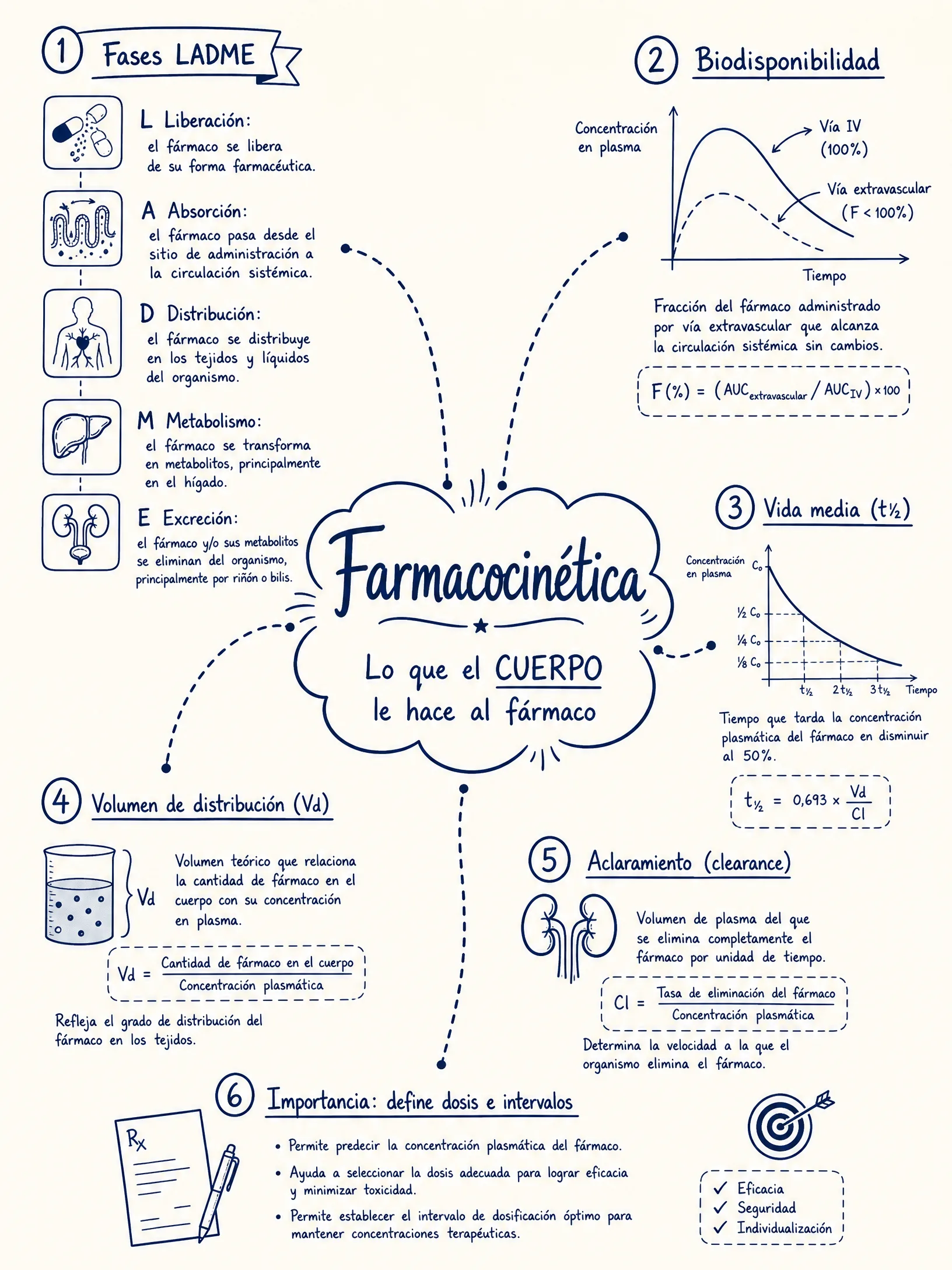 Farmacocinética