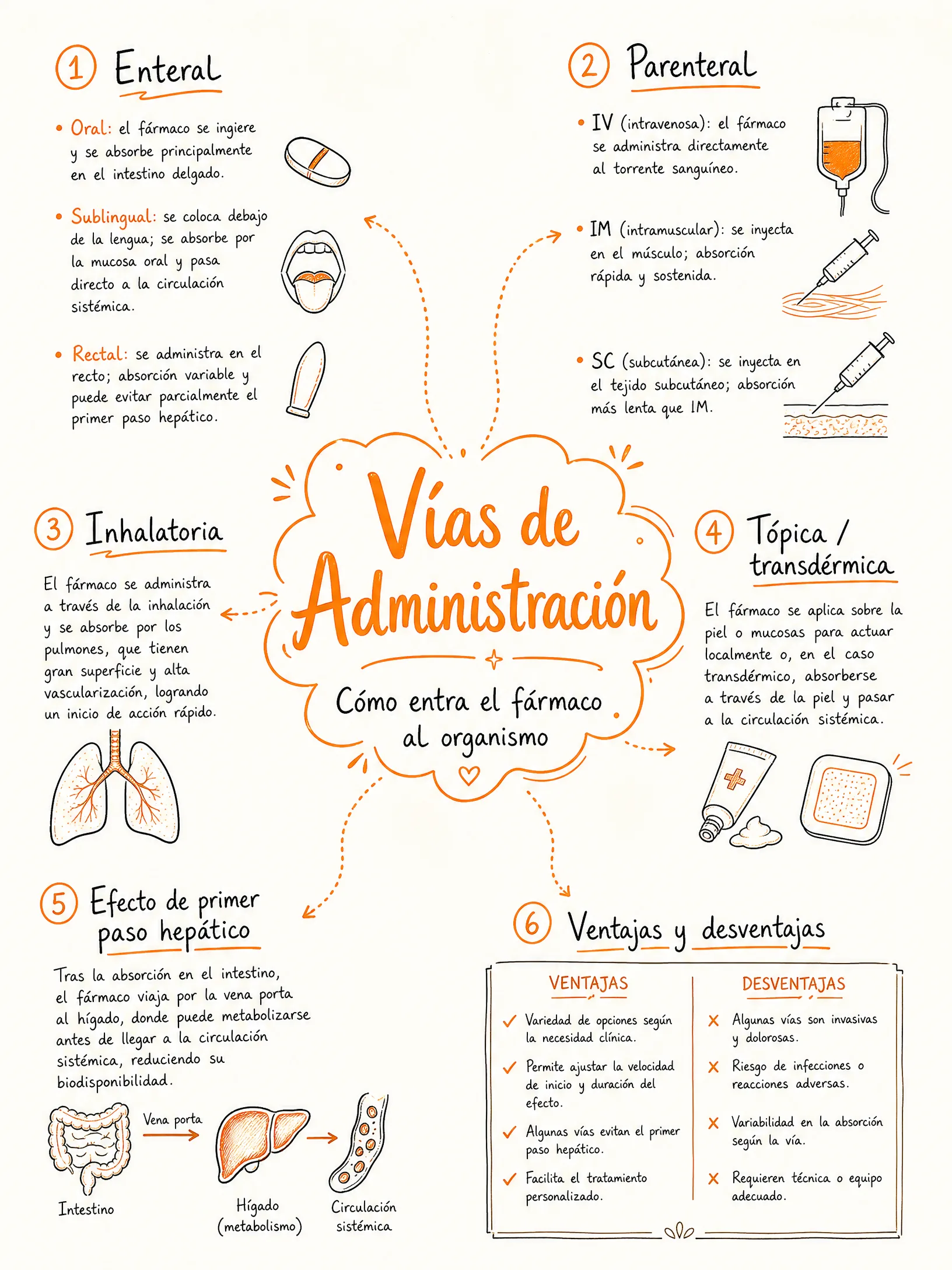 Vías de Administración