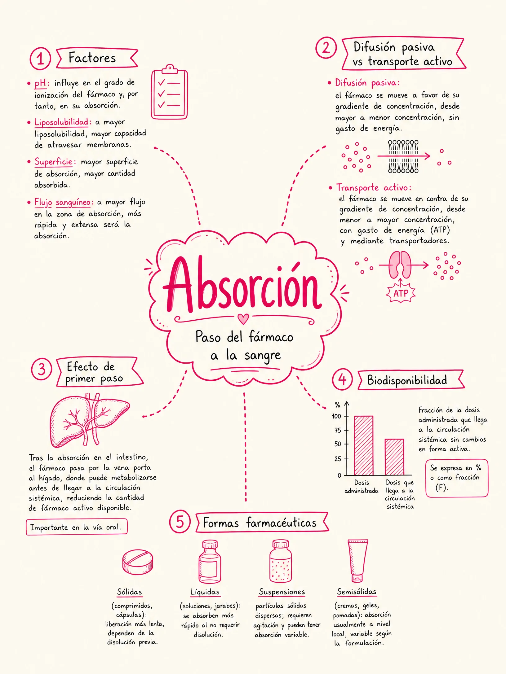 Absorción