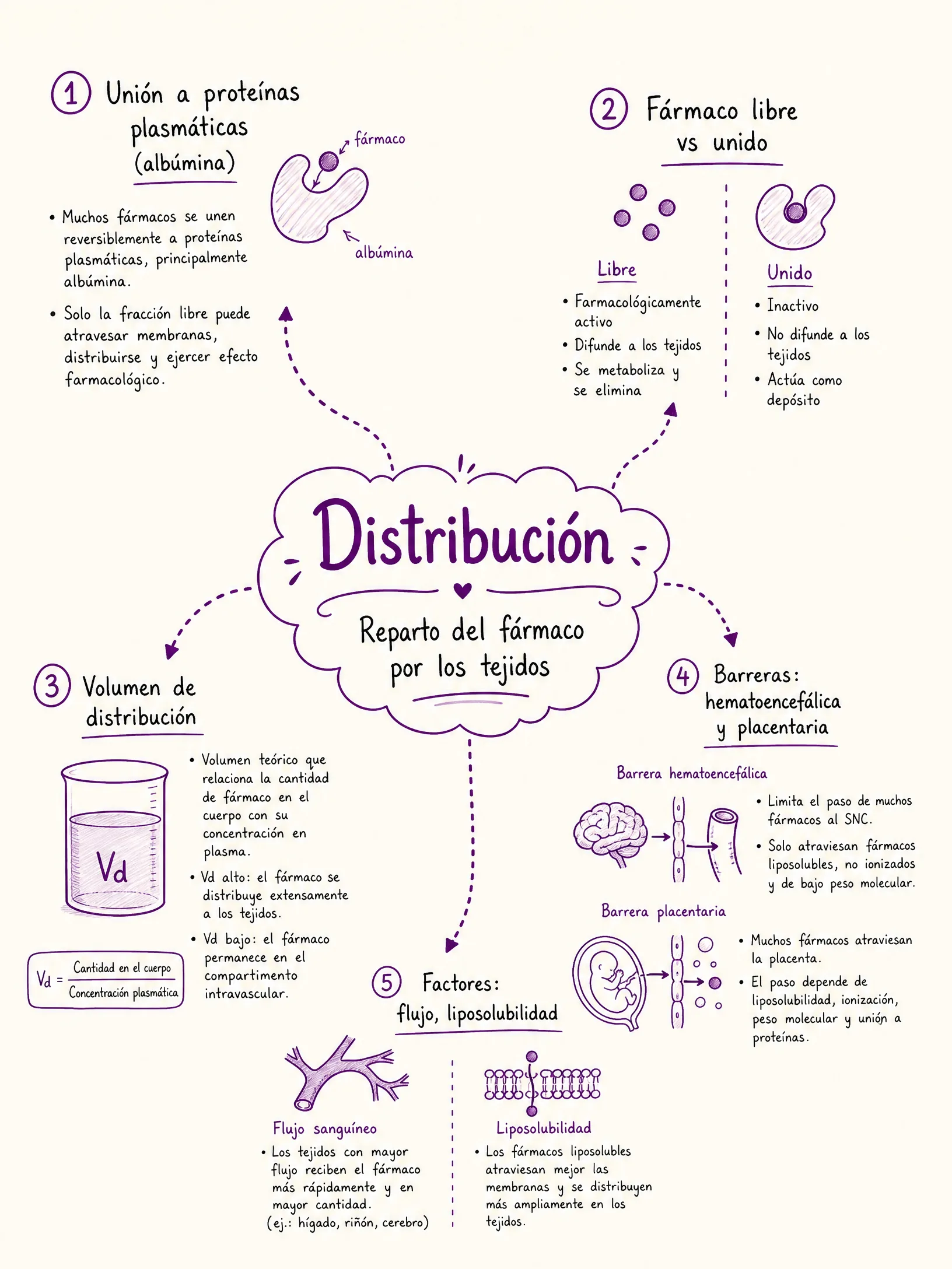 Distribución