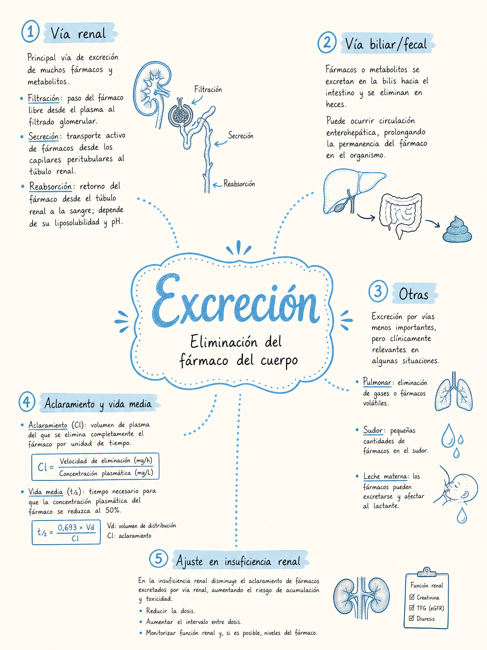 Excreción