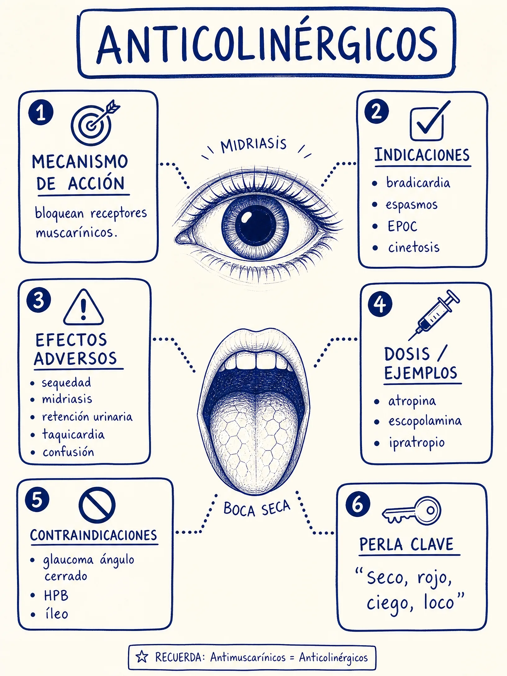 Anticolinérgicos