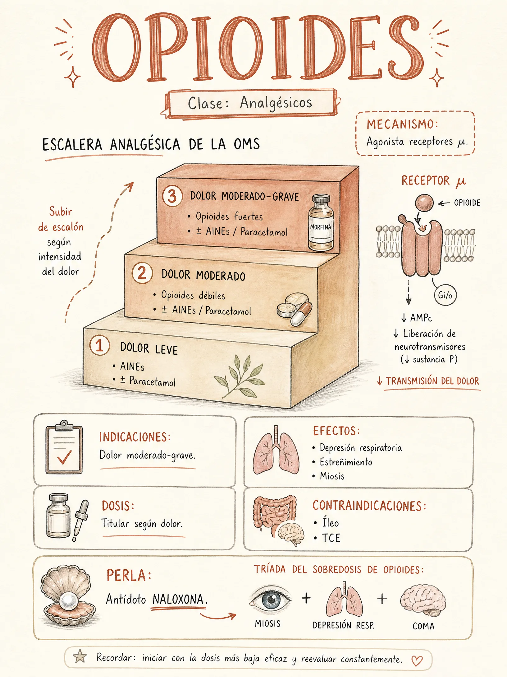 Opioides · Morfina